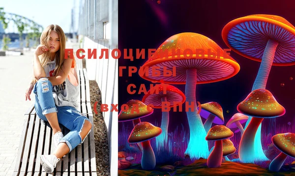 кокс Армянск