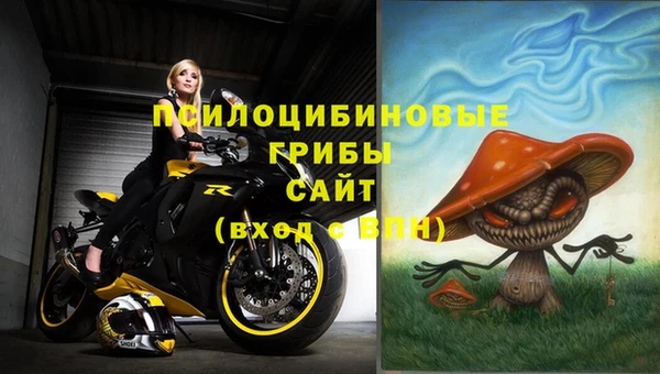 трава Арсеньев