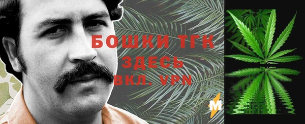 трава Арсеньев