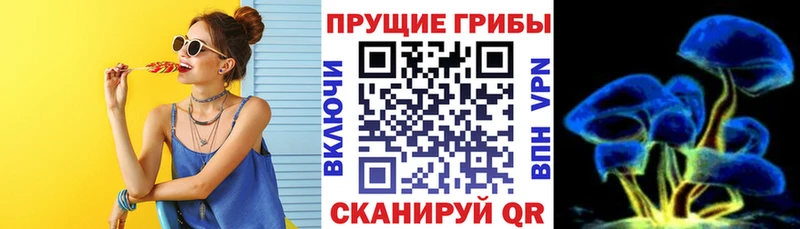 купить наркотик  Старая Русса  Галлюциногенные грибы мицелий 